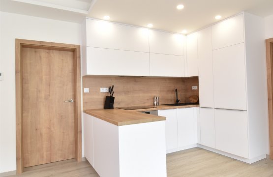 Kuchyně v minimalistickém designu Bystrc