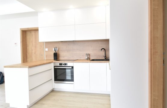 Kuchyně v minimalistickém designu Bystrc